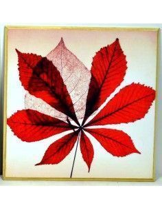 CUADRO CON HOJA ROJA