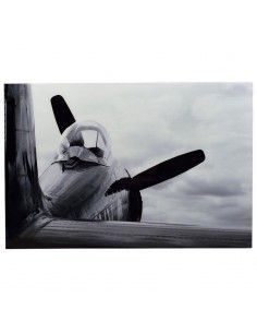 CUADRO APAISADO DE AVION