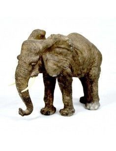 ELEFANTE CON COLMILLOS 2