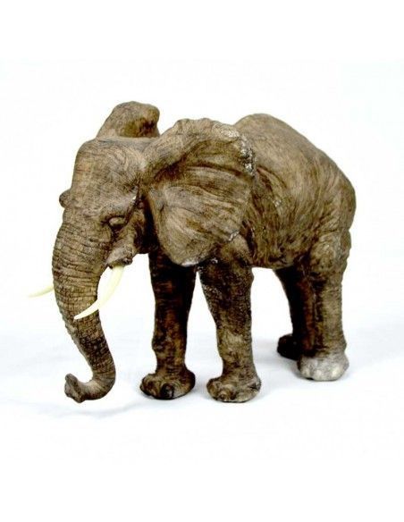 ELEFANTE CON COLMILLOS