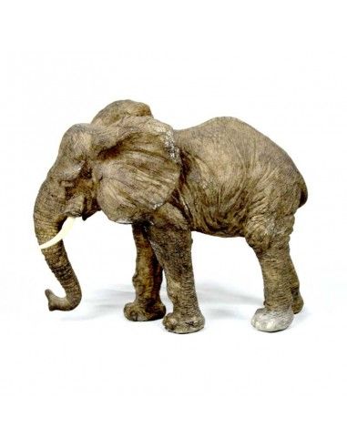 ELEFANTE CON COLMILLOS