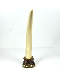 COLMILLO DE ELEFANTE 68x17 2