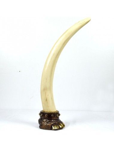 COLMILLO DE ELEFANTE