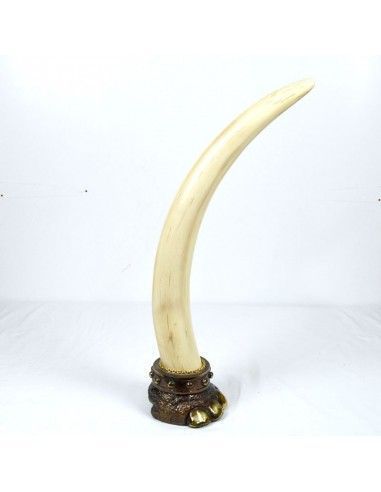 COLMILLO DE ELEFANTE