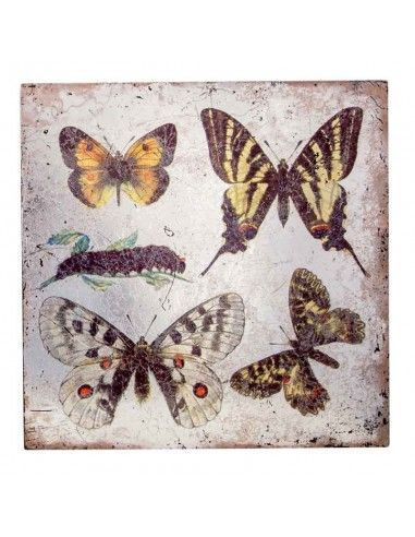 PAREJA DE CUADROS DE MARIPOSAS