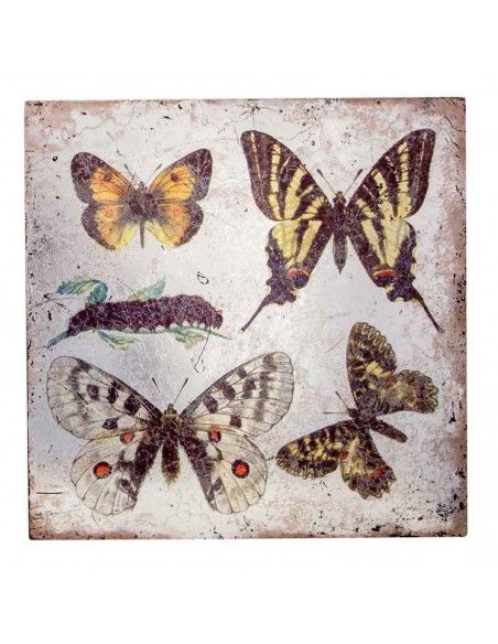 PAREJA DE CUADROS DE MARIPOSAS