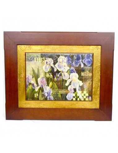 CUADRO DE IRIS CLASICO