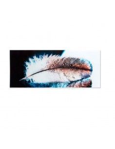 CUADRO CRISTAL PLUMA