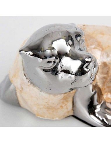 FOCA DE CERAMICA