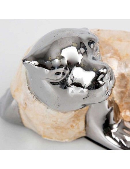 FOCA DE CERAMICA