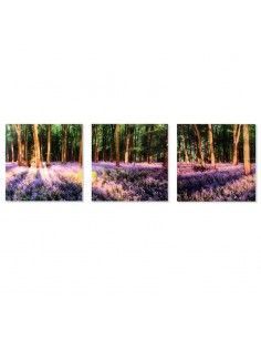 CUADRO BOSQUE CRISTAL SET DE TRES