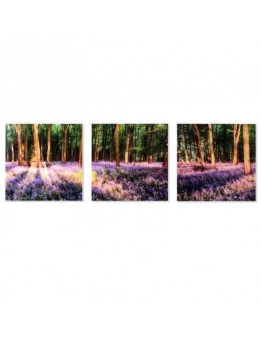 CUADRO BOSQUE CRISTAL SET DE TRES