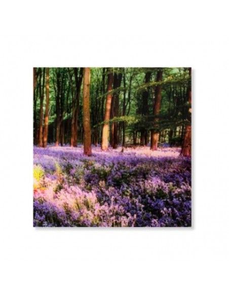 CUADRO BOSQUE CRISTAL SET DE TRES