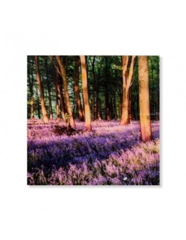 CUADRO BOSQUE CRISTAL SET DE TRES