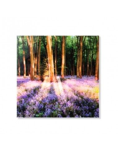 CUADRO BOSQUE CRISTAL SET DE TRES