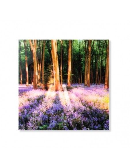 CUADRO BOSQUE CRISTAL SET DE TRES