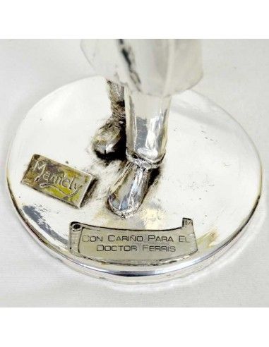 FIGURA DE DOCTOR EN PLATA