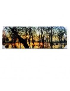 CUADRO DE PANTANO EN EL BOSQUE