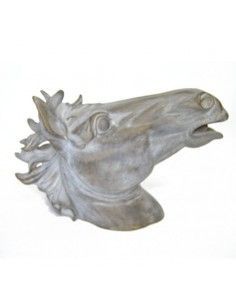 CABEZA DE CABALLO 2